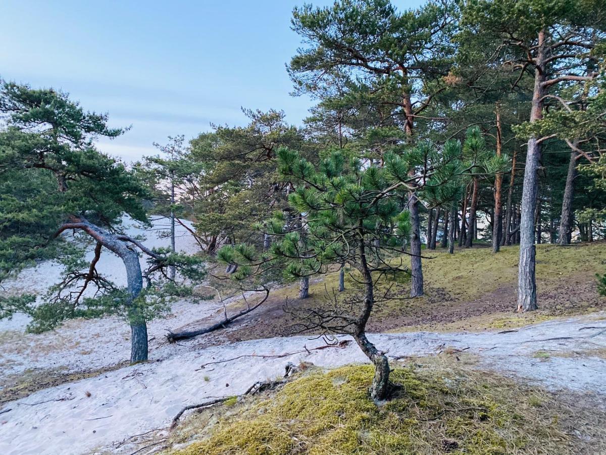 Siedlisko Wytowno Ustka Exterior foto